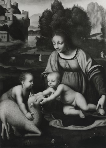 The Clowes Fund, Fine Arts Department — Luini. Madonna, Child & St. John — insieme